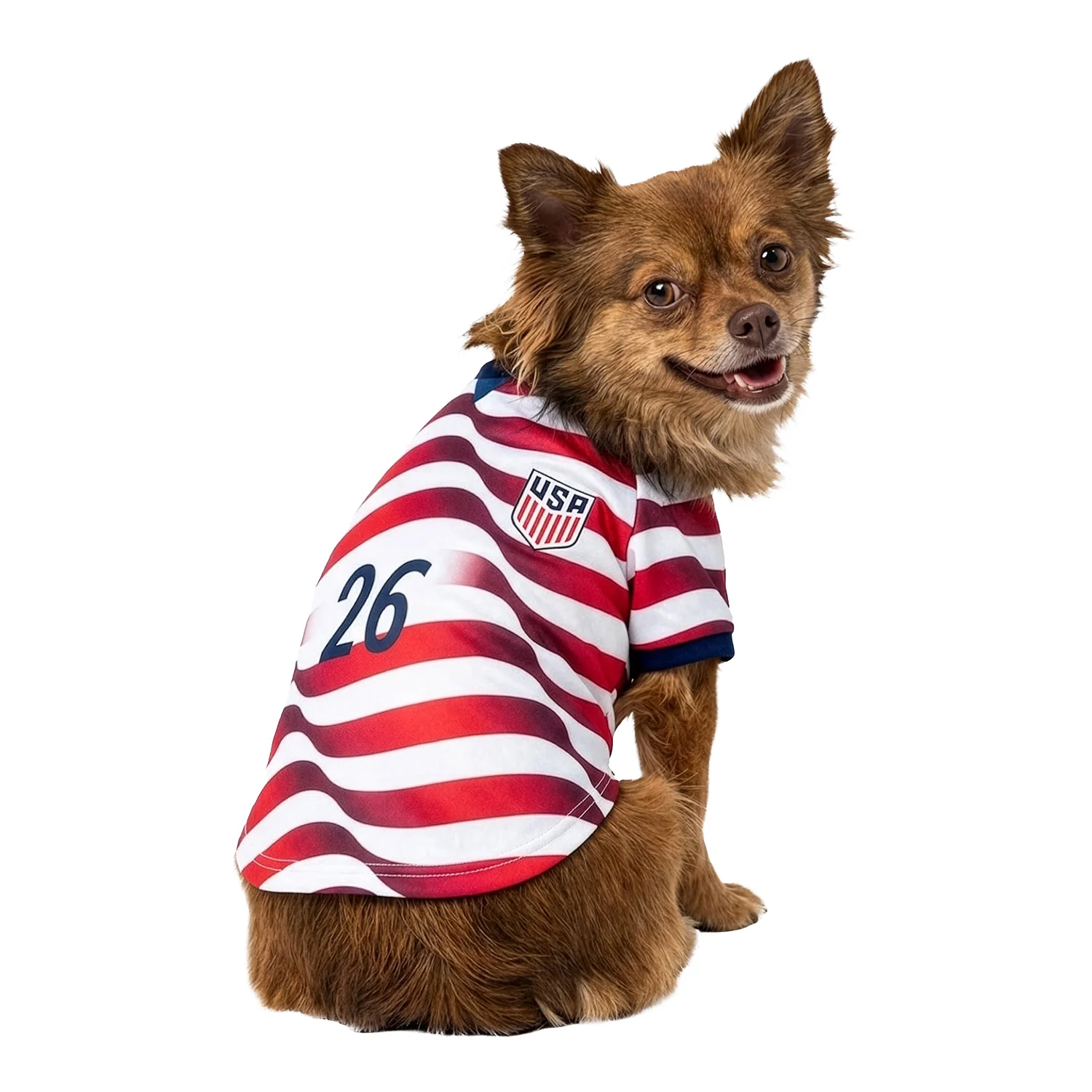 Pet G-Mason 2026 U.S. Soccer Stripes Jersey