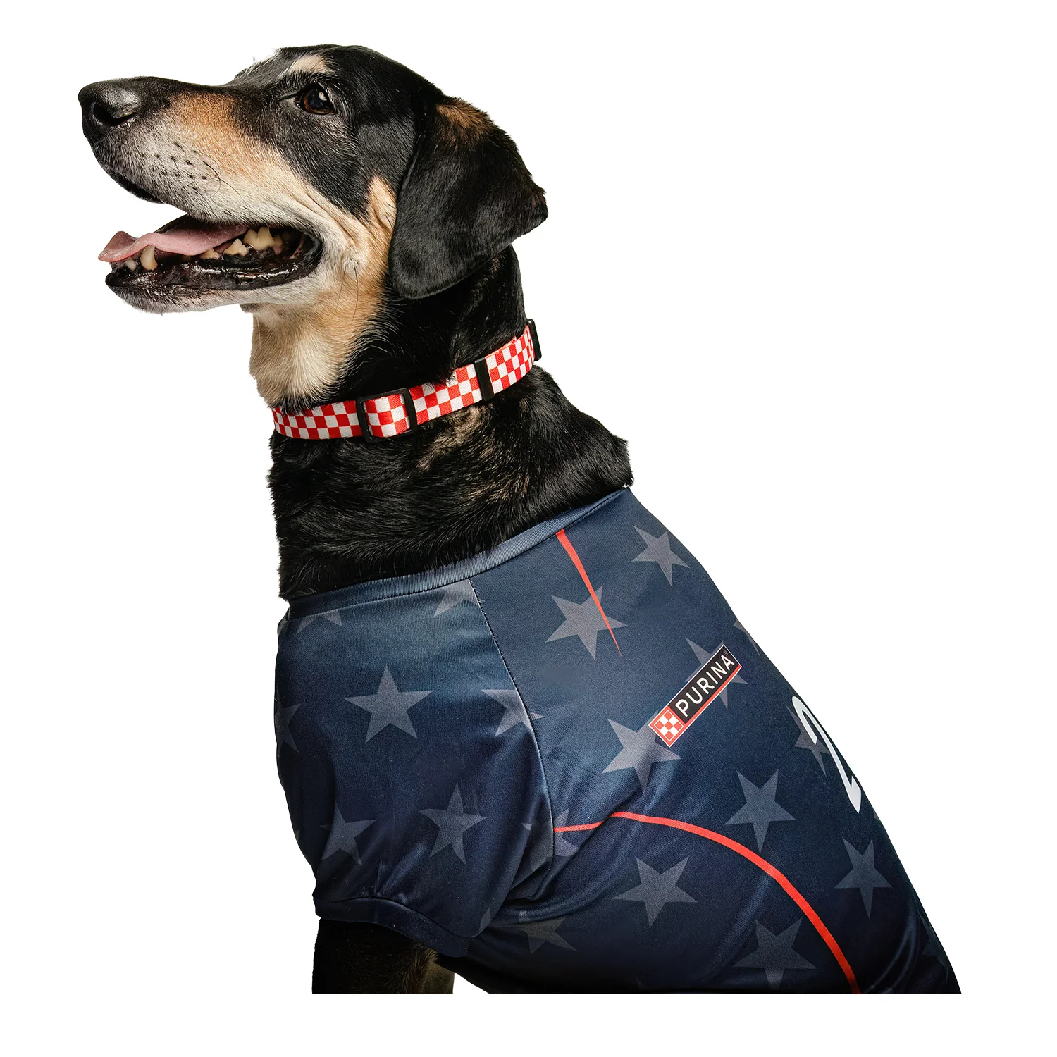 Pet G-Mason 2026 U.S. Soccer Stars Jersey - Image 3