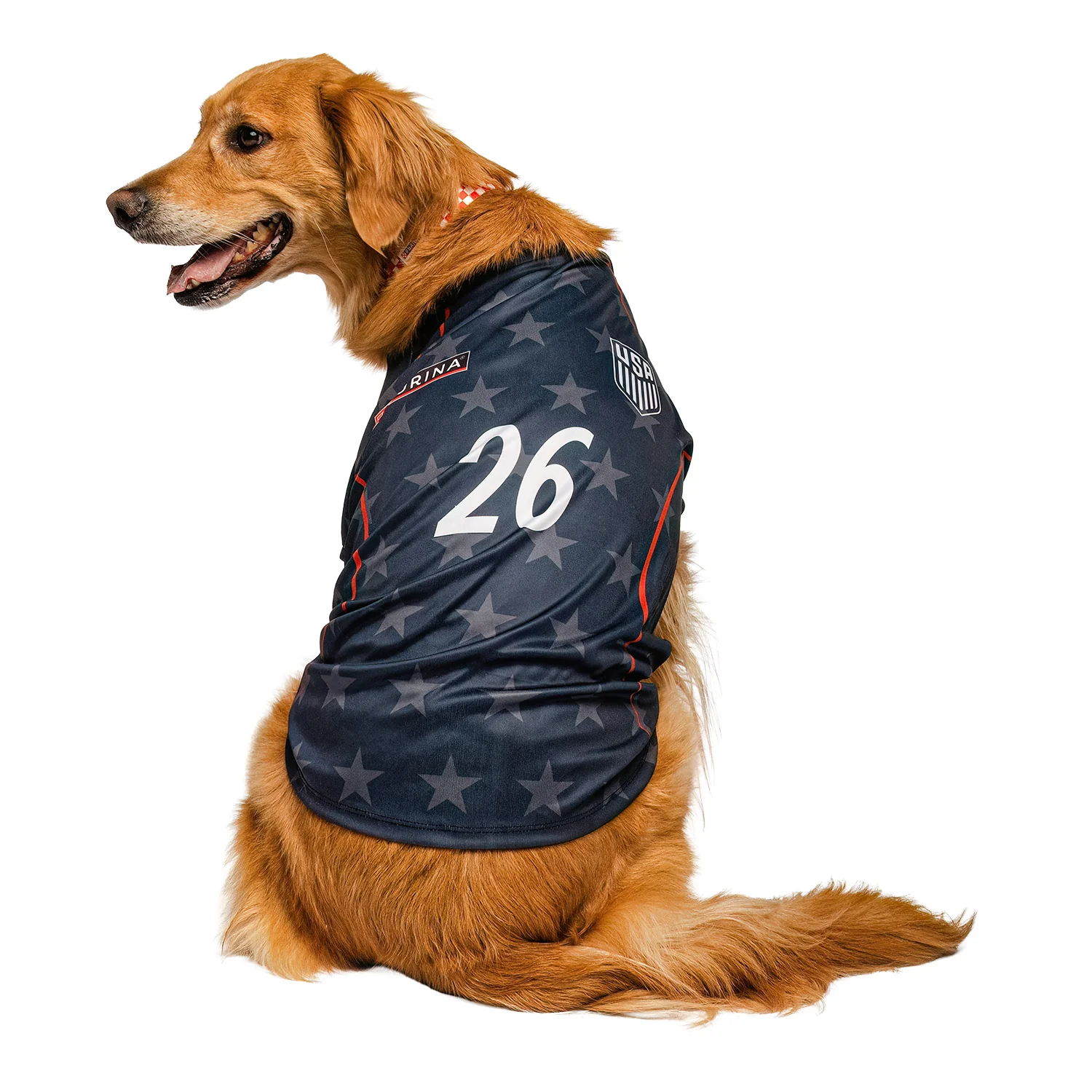 Pet G-Mason 2026 U.S. Soccer Stars Jersey - Image 4