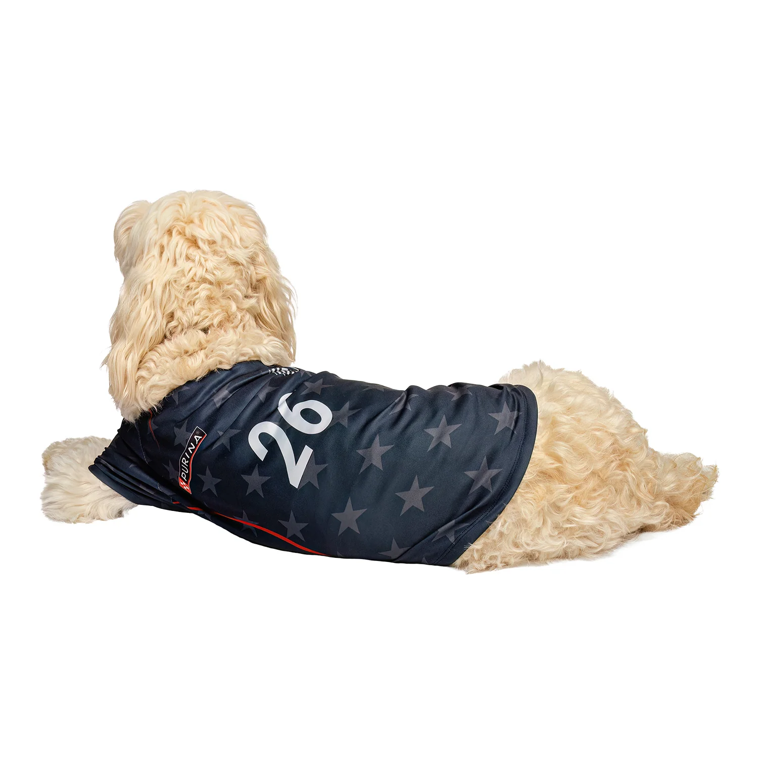 Pet G-Mason 2026 U.S. Soccer Stars Jersey - Image 5